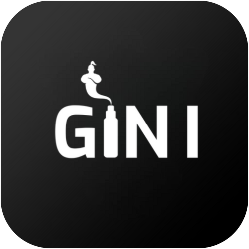 GINI Vape