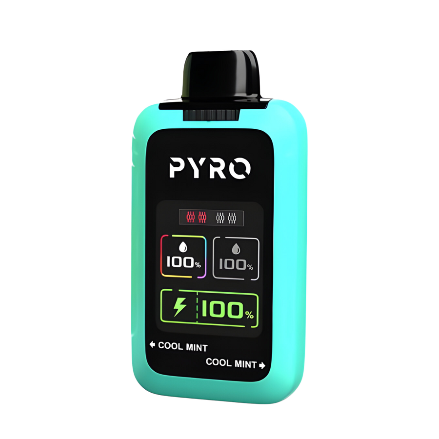 Pyro Duo 30K Disposable Vape Cool Mint + Cool Mint  