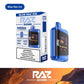 Raz DC25000 Disposable Vape