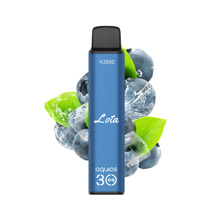 InnoBar K3500 Disposable Vape Blueberry Ice  