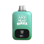 Freeze Fresh Mint - Juice Head Maxx 10000