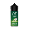 Fume Salt Nicotine Vape Juice - Mint Ice