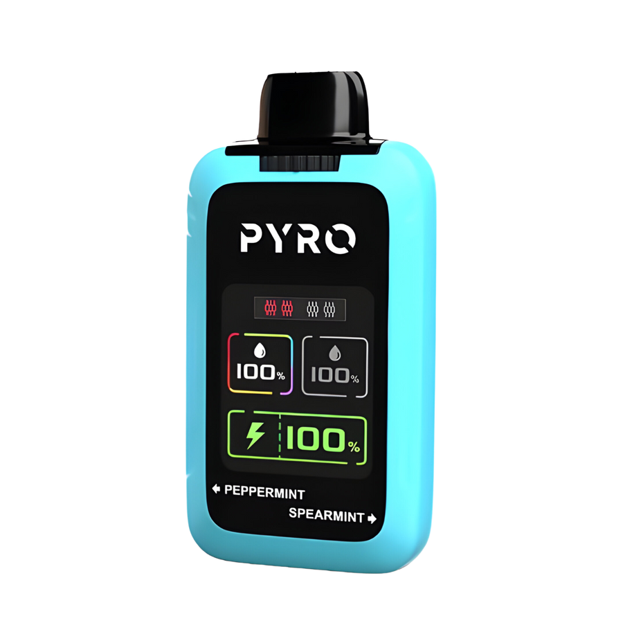 Pyro Duo 30K Disposable Vape Peppermint + Spearmint  