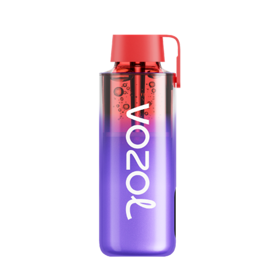 Vozol Neon 10000 Disposable Vape 50 Mg Blackberry Ice 