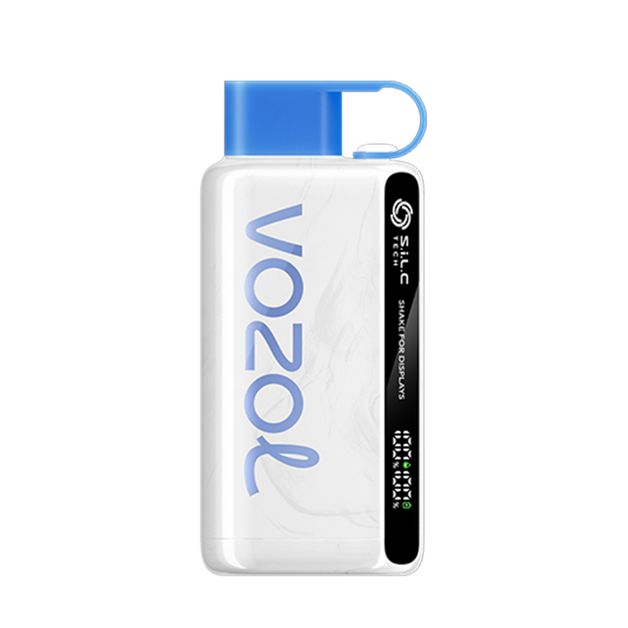 Vozol Star 12000 Disposable Vape Blueberry Storm  