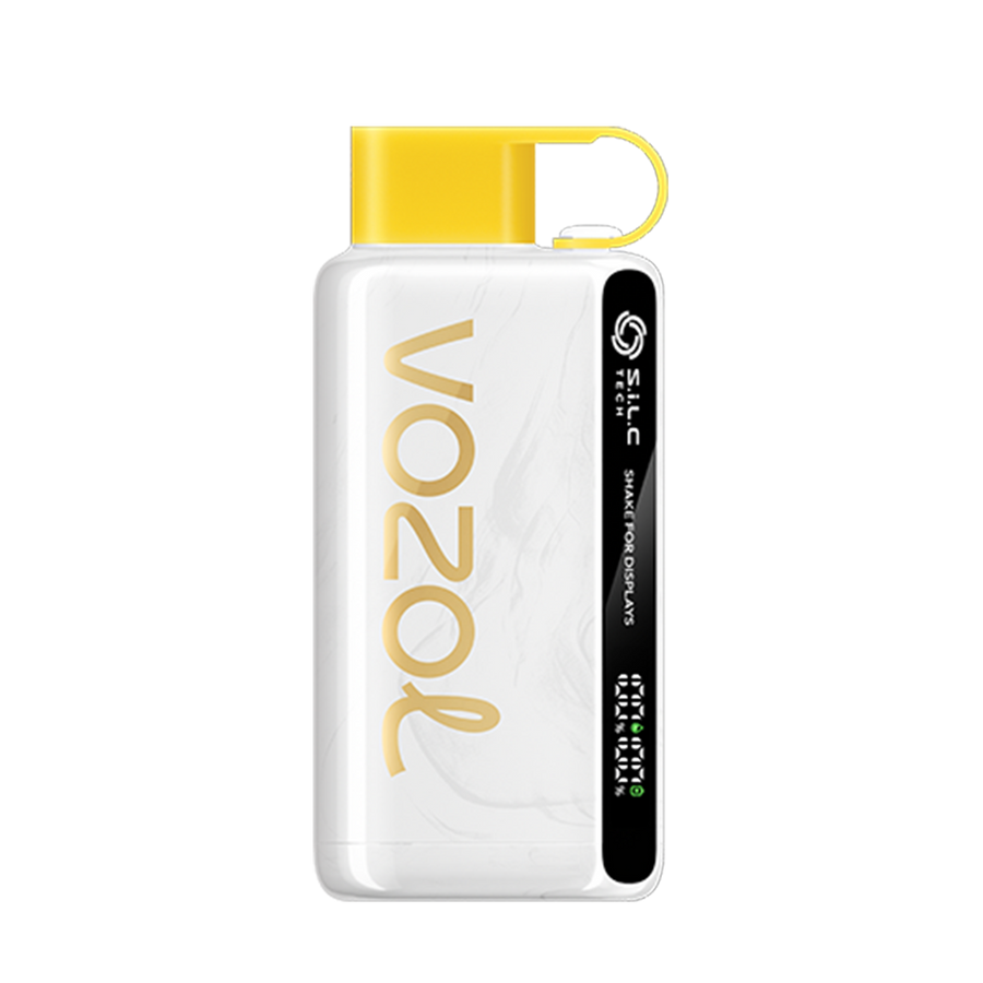 Vozol Star 12000 Disposable Vape Kiwi Passion Fruit Guava  