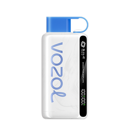 Vozol Star 9000 Disposable Vape Blueberry Storm  