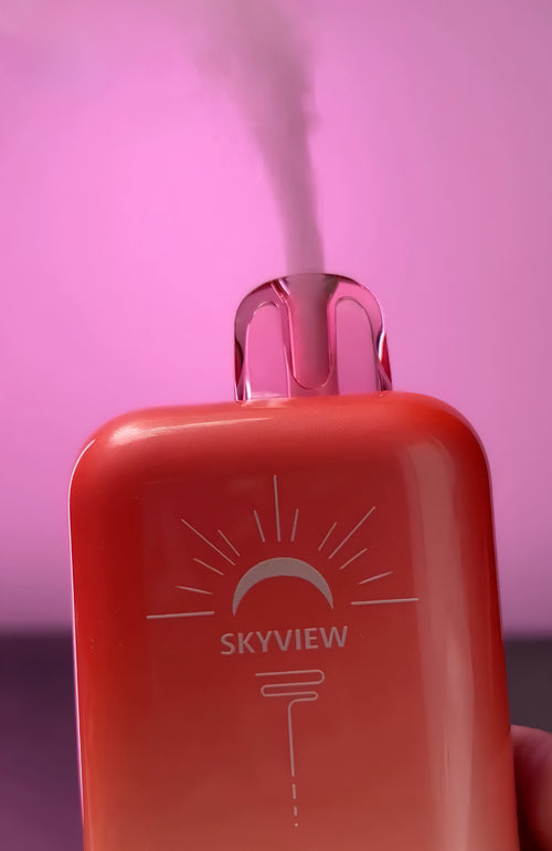 Skyview 25K review-4